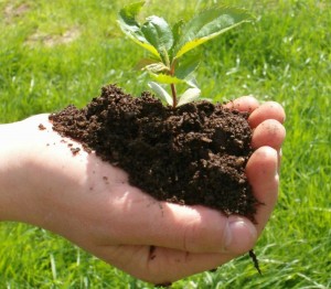 Qu'est-ce que le compost, à quoi ça sert, comment l'utiliser ?